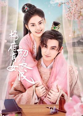 中国网站优化代理公司